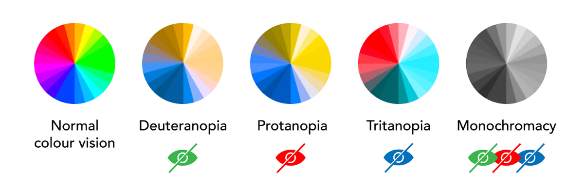 This figure was copied from Digital NSW (2023) under a Creative Commons Attribution 4.0 License. The figure visualises the differences between the major types of colour vision deficiency (CVD), namely deuteranopia, protanopia, tritanopia and monochromacy.